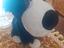 Immagine 1