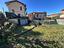 Immagine 11