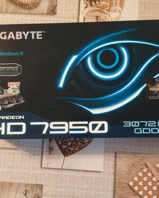 Gigabyte hd 7950 scheda video