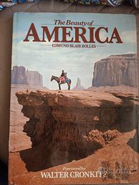 Libro The Beauty of America 