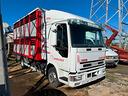 eurocargo-80e21-trasporto-animali-vivi