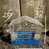 gabbia per uccellini