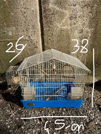 gabbia per uccellini