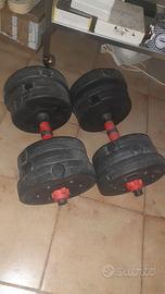 Coppia manubri pesi