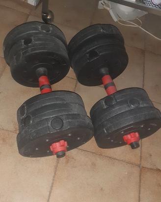 Coppia manubri pesi