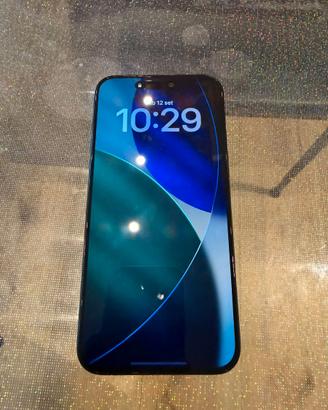 iPhone 15 Pro Max 256 GB Titanio Nero LEGGERE BENE
