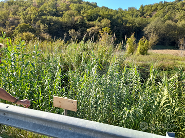 Terreno 1800 MQ castelliri (Fr)