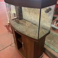 Acquario marino dismesso