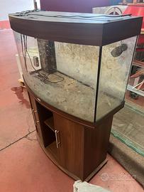 Acquario marino dismesso