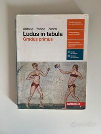 Ludus in tabula gradus primus