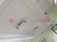 Immagine 12