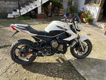 Yamaha XJ6 600 - 2009