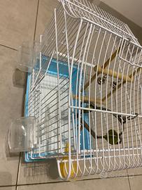 Gabbia per uccellini