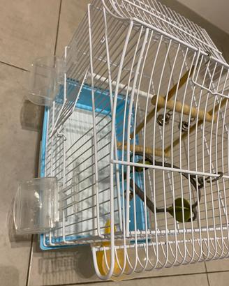 Gabbia per uccellini