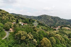 RUSTICO A BRONDELLO