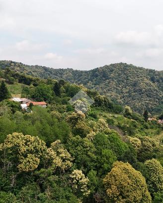 RUSTICO A BRONDELLO