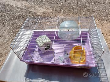 gabbietta per criceto-orsetto russo...