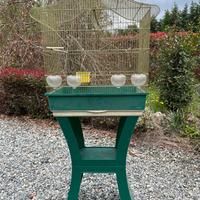 Gabbia uccelli con rialzo