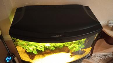 acquario 120lt