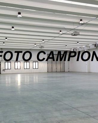 Immobile di 600 m² a Lonigo