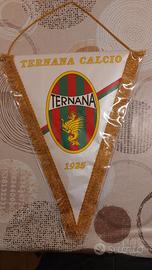Gagliardetto ufficiale Ternana Calcio 1925