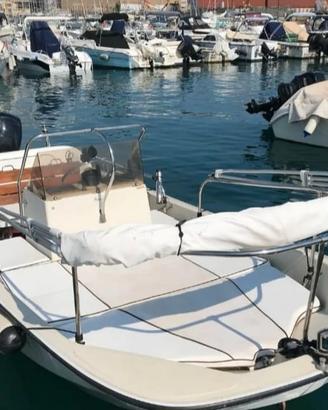 Barca Boston Whaler mountak 17