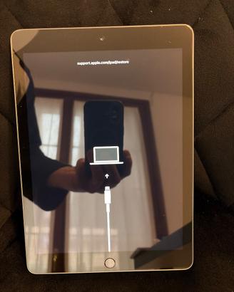 iPad 6 Space Gray bloccato in DFU