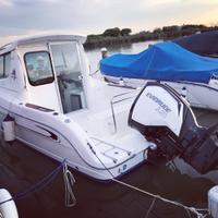 Sessa Dorado 22