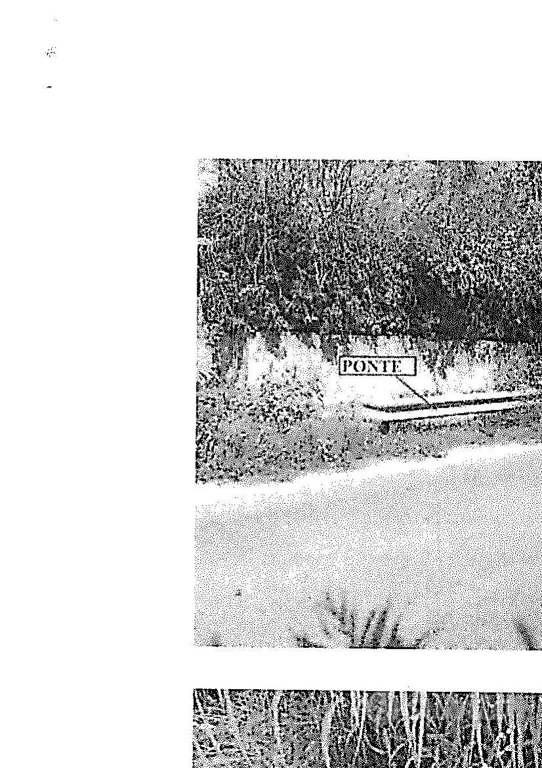 Immobile in asta di 2591 m² a Niscemi - Vista 4