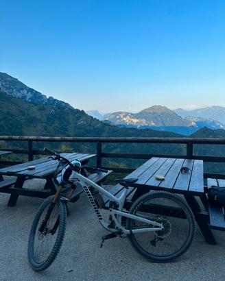 Mtb propain enduro