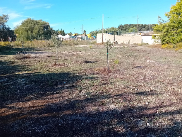 Terreno in città