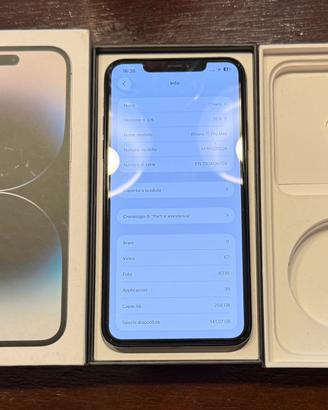 IPhone 11 Pro Max 256 GB