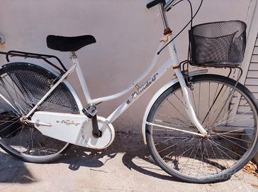 Bicicletta olanda