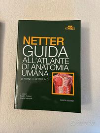 Netter flash cards memo medicina