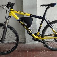 Mtb specialized