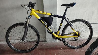 Mtb specialized