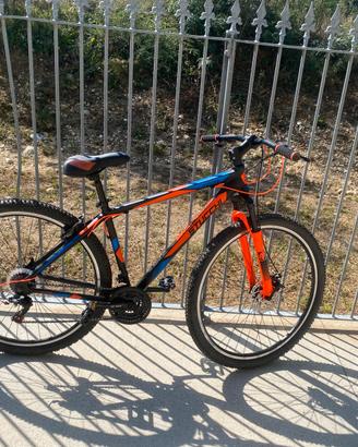 Bicicletta