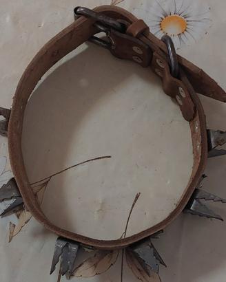 collari per cani antilupo