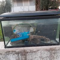 Acquario 100 litri 