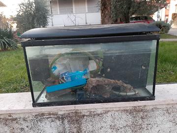 Acquario 100 litri 