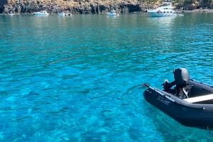 3d Tender Motore 9.8 cv 4 tempi