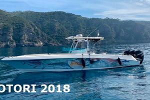 Wellcraft SCARAB 35 TOURNAMENT