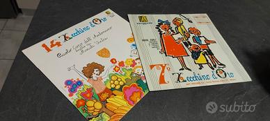 Dischi vinile 33 giri