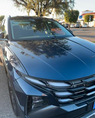 Hyunday Tucson III CRDI 48v business