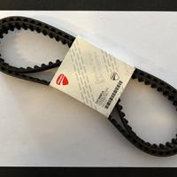 Cinghie distribuzione Ducati 73710081A