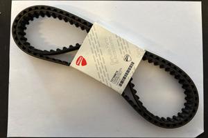 Cinghie distribuzione Ducati 73710081A