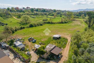 TER. AGRICOLO A ROMA