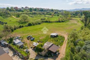 TER. AGRICOLO A ROMA