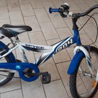 bicicletta ragazzo/a