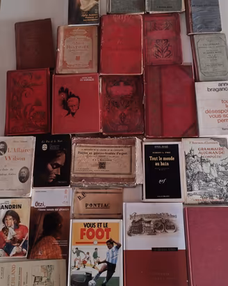 Grande lotto di libri vintage e antichi